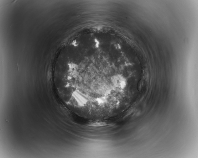 X0000088030754200706081501