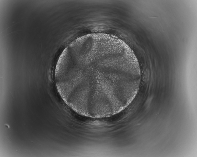 X0000088030755200706081501