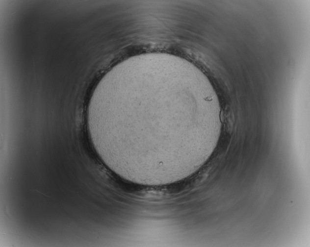 X0000088030756200706081501