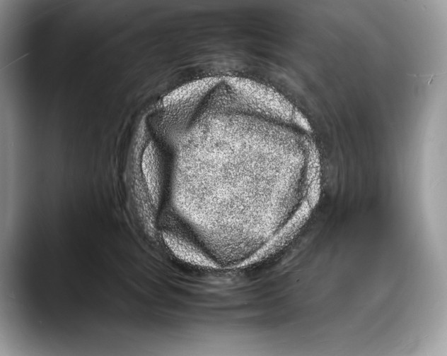 X0000088030757200706081501