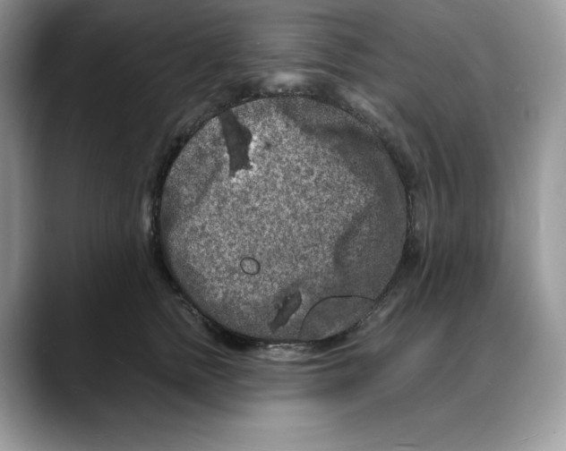 X0000088030758200706081501