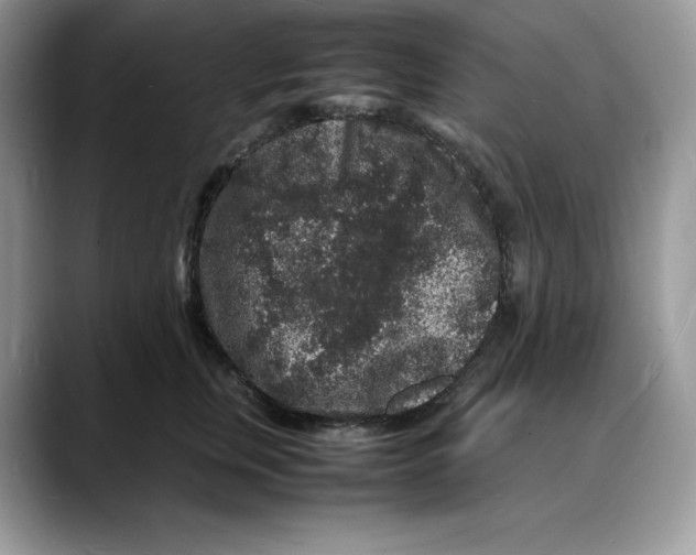 X0000088030759200706081501