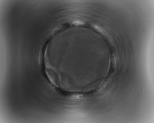 X0000088030760200706081501