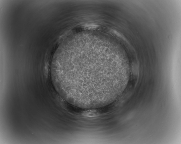 X0000088030761200706081501