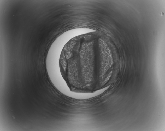 X0000088030762200706081501