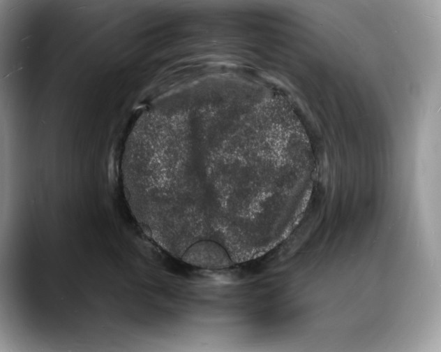 X0000088030763200706081501