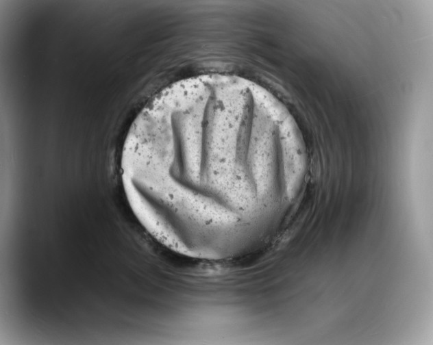 X0000088030764200706081501