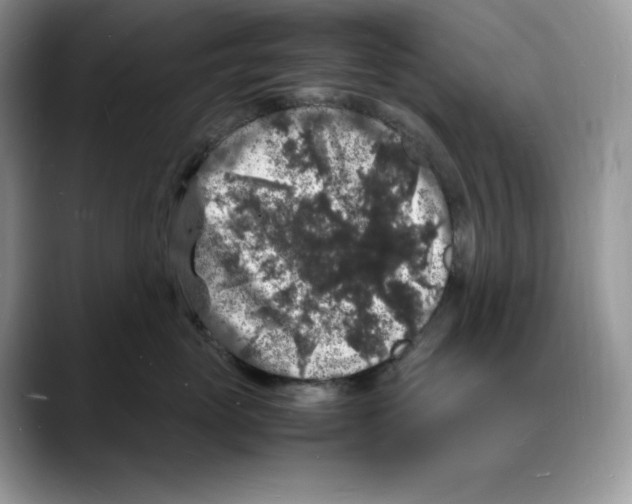 X0000088030765200706081501