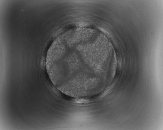 X0000088030766200706081501