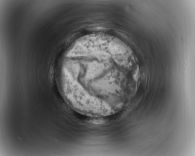 X0000088030767200706081501