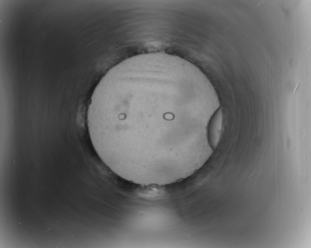 X0000088030768200706081501