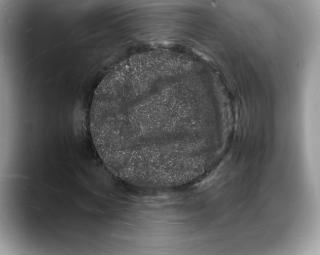 X0000088030772200706081501
