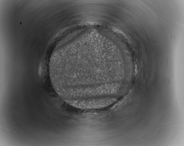X0000088030776200706081501