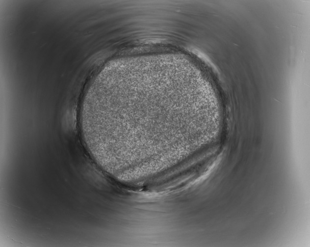 X0000088030777200706081500