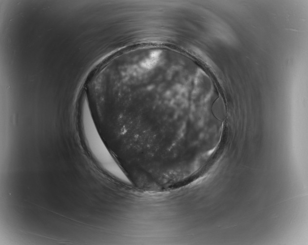 X0000088030779200706081500