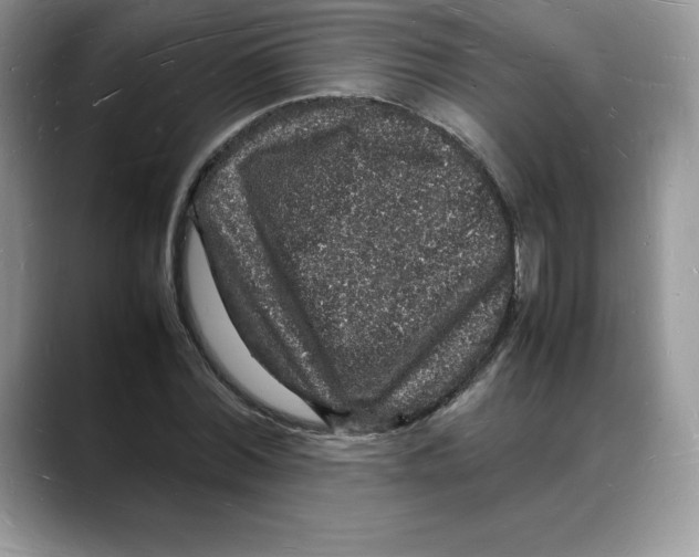 X0000088030780200706081500