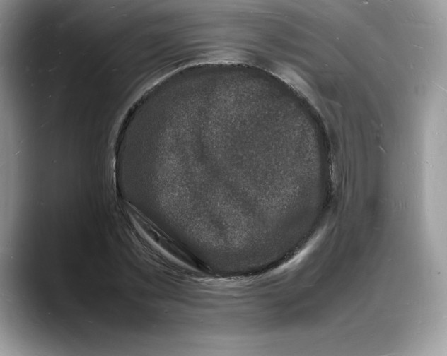X0000088030781200706081500