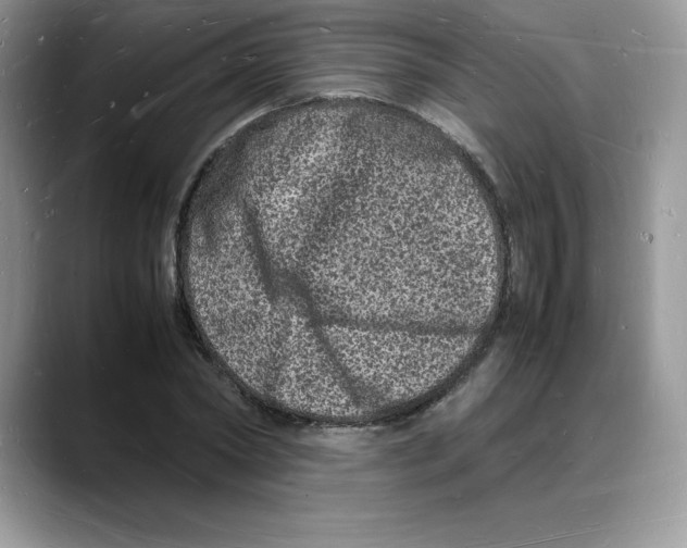 X0000088030782200706081500