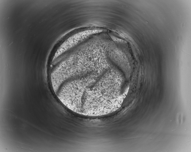 X0000088030784200706081500
