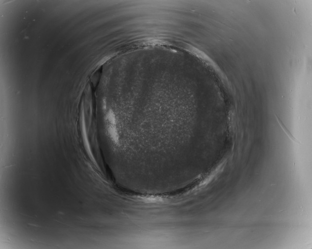 X0000088030785200706081500
