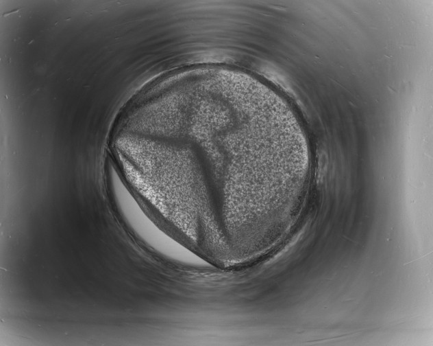 X0000088030786200706081500