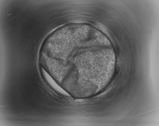 X0000088030787200706081500