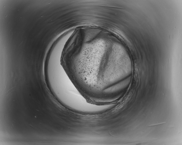 X0000088030788200706081500