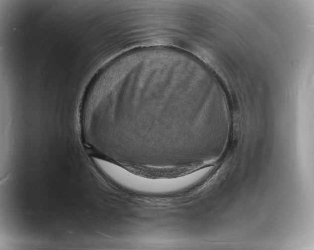 X0000088030789200706081500