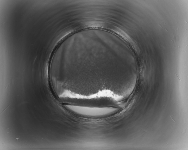 X0000088030790200706081500
