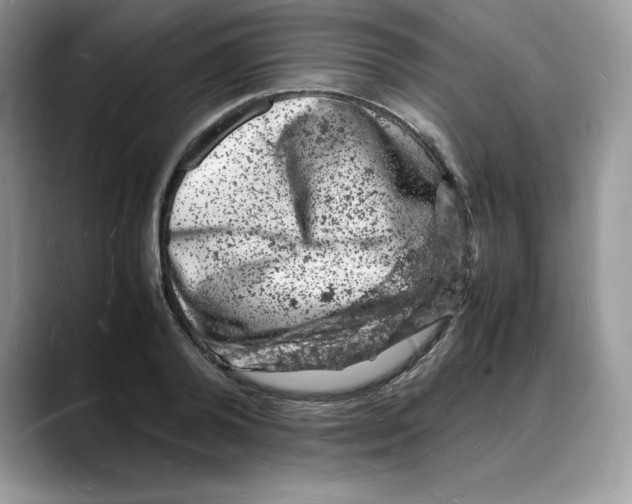 X0000088030792200706081500