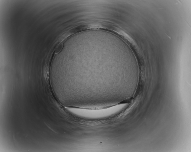 X0000088030793200706081500