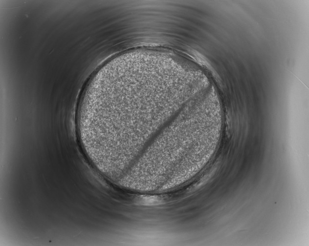 X0000088030794200706081500
