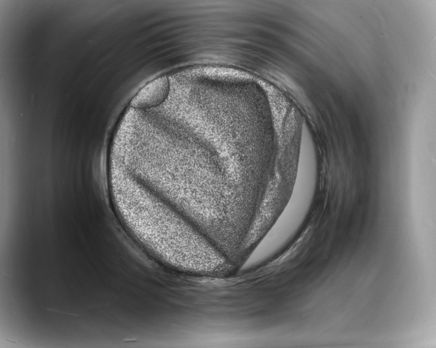 X0000088030796200706081500
