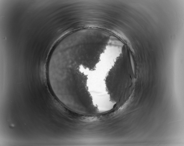 X0000088030798200706081500