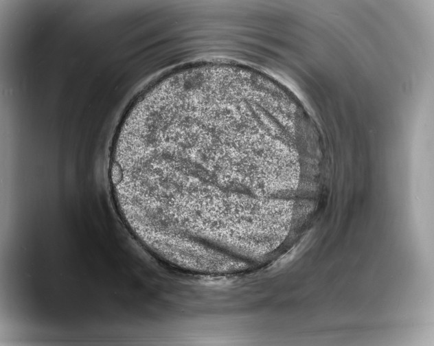 X0000088030799200706081500