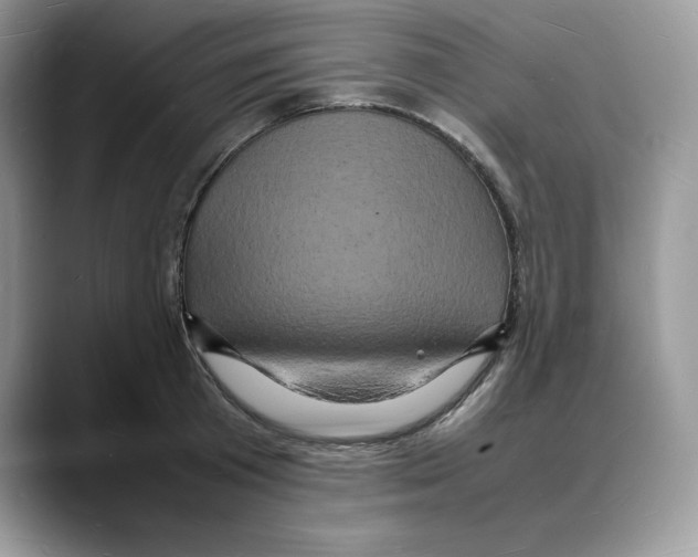 X0000088030801200706081500