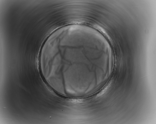 X0000088030802200706081500