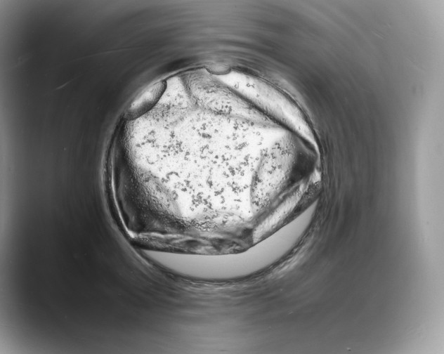 X0000088030803200706081500
