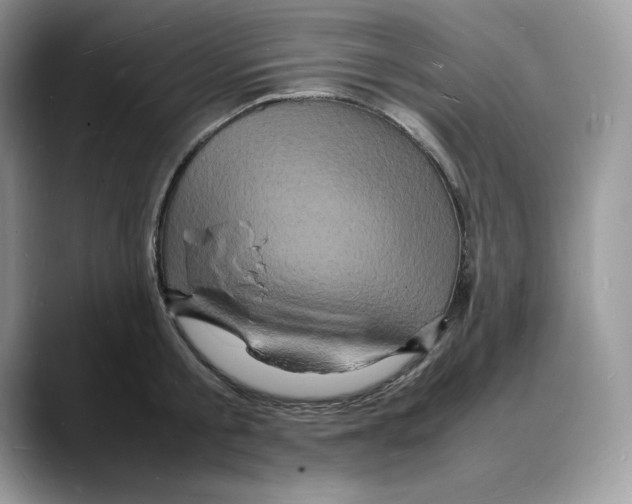 X0000088030805200706081500