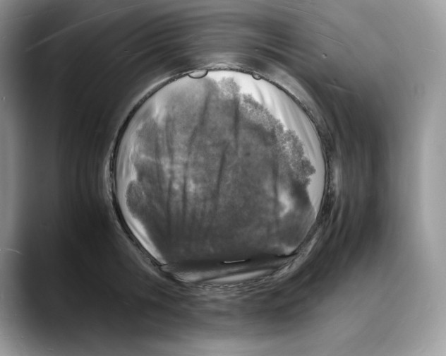 X0000088030806200706081500