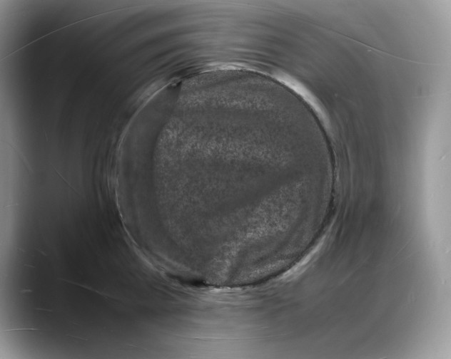X0000088030809200706081500