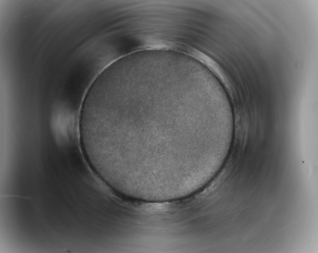 X0000088030810200706081500