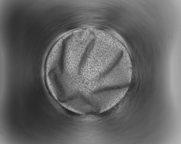 X0000088030811200706081500