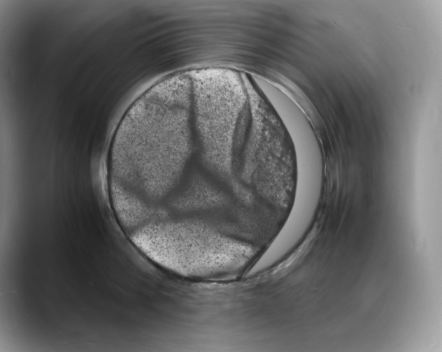 X0000088030812200706081500