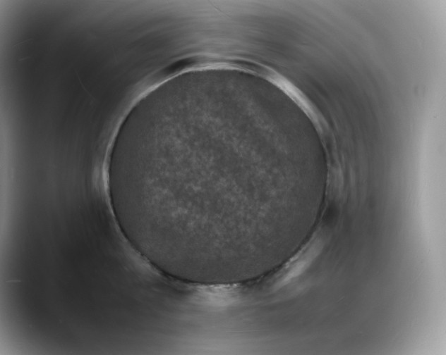 X0000088030813200706081500