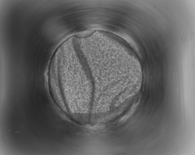 X0000088030814200706081500