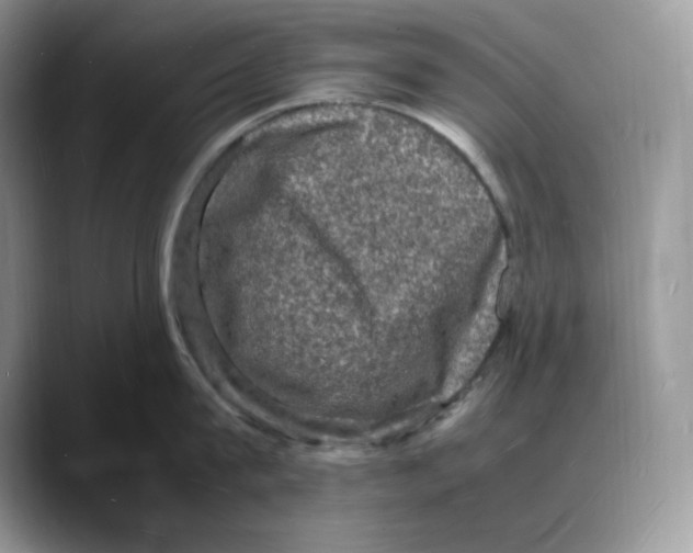 X0000088030815200706081500