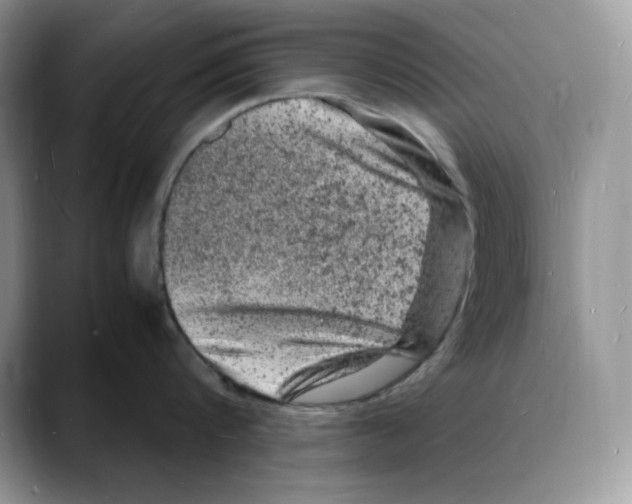X0000088030816200706081500