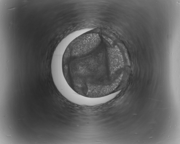 X0000088030818200706081459