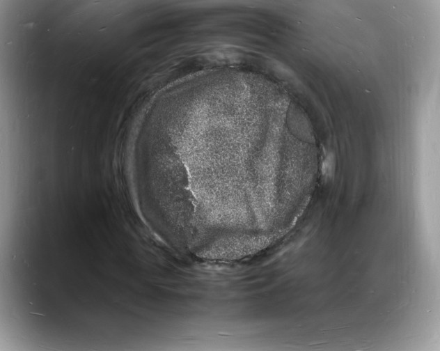 X0000088030819200706081459